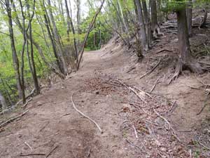 ���򂩂�̓o�R��