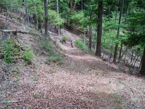 ���򂩂�̓o�R��