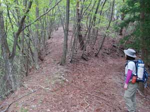 ���̕ӂ肩�����