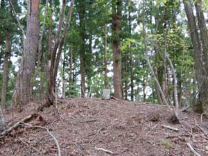 ���򂩂�̓�