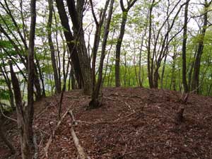 ���̃s�[�N