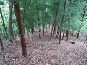 �s�[�N����͋}�ɉ���