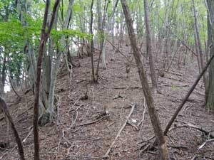 �������}��