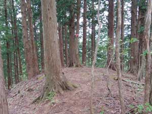 ����R�R���H 