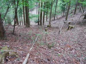 �}�ȎΖʂ��������B