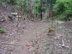 ���o���̂���ꏊ