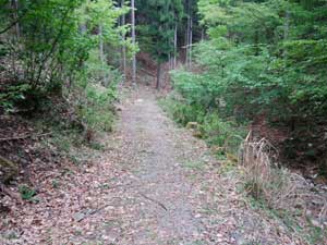 �ѓ��H�I�ȓo�R��