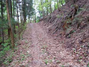 �ѓ��H�I�ȓo�R��