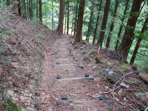 ���x���_�[�\�t�g