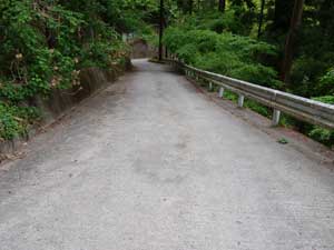 �ܑ��H������