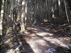 �R���N���[�g���̗ѓ�