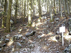 �͂��H�̊��