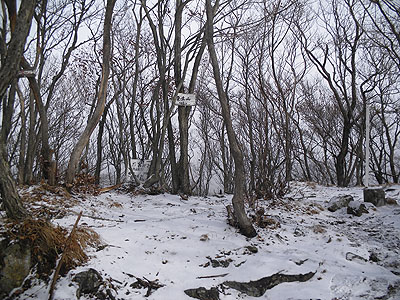 栗生山山頂(968m)