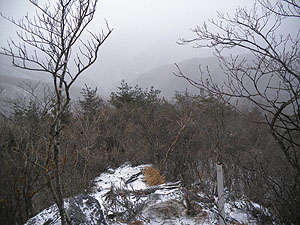 �W�]�₩��̒���