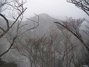 展望岩からの眺め