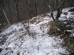 10��13�����R�J�n