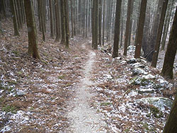 �R���N���[�g�̓�