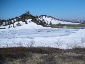 �E��ɂ͋|�r���������B