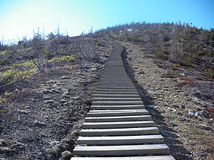 �����ؒi��i��