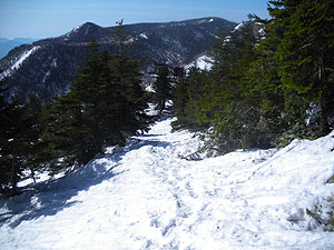 ���m��R������̓o�R��