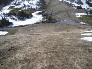 ��̖����}�Ζ�