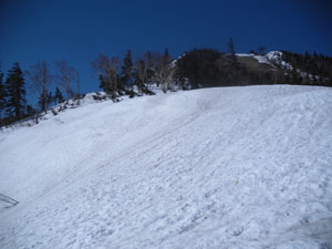 ��̓��݌�����ǂ��Đi��