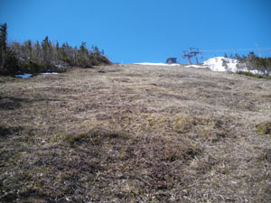 ��̖����Q�����f