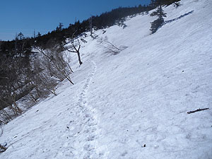 �g���o�[�X