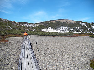 �ؓ���i��