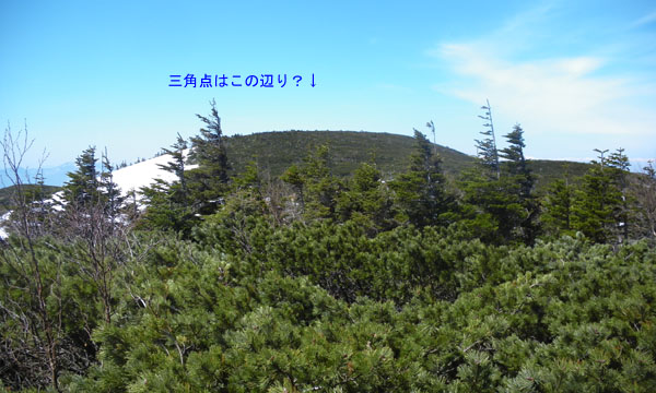 遊歩道最高地点付近からの眺め