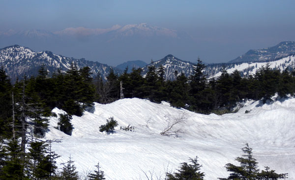 遊歩道最高地点付近からの眺め