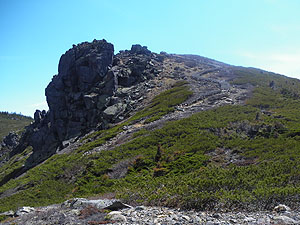 �������R��ڎw�����B