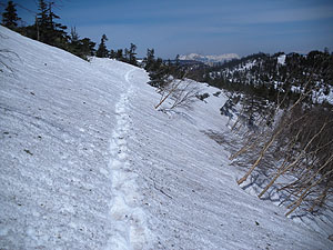 �g���o�[�X