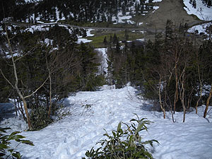 ���\�}�ȎΖʂ����`