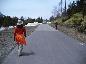 �ܑ��H��i�񂾁B