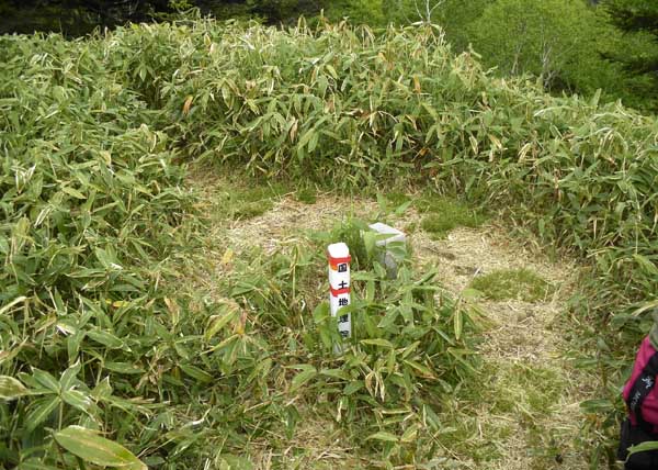 �O���R �R��