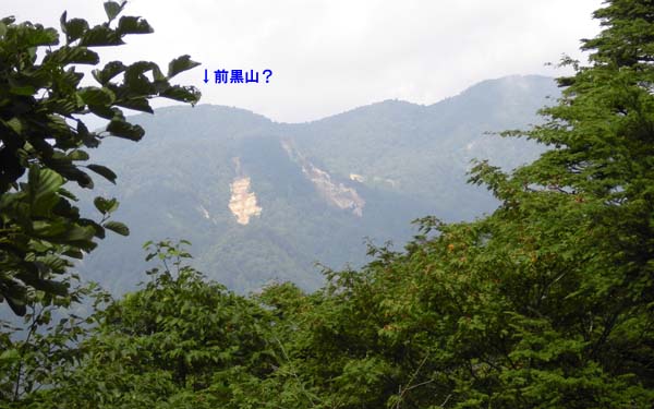 �߉ރ��x�t�߂��猩���O���R