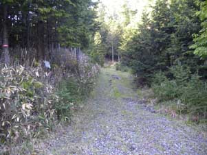 �ѓ���i�񂾁B