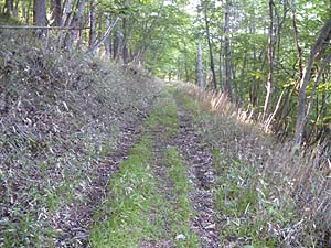 ���򂩂�̗ѓ�