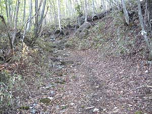 ���򂩂�̗ѓ�