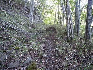 ���򂩂�̗ѓ�