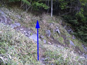 �J�����ꏊ