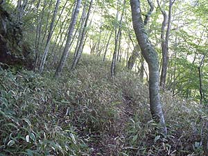 ���������Ƃ������`�`