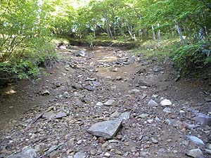 ����(�y��)����