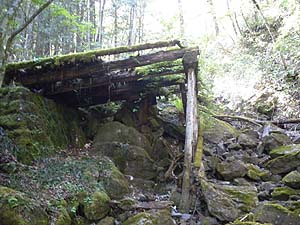 �������؋�