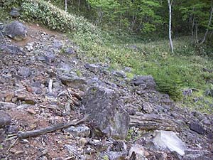 �J�����ꏊ�ɏo���`