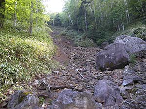 �J�����ꏊ�ɏo���`