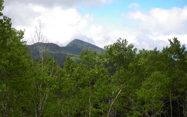 �R������̒���