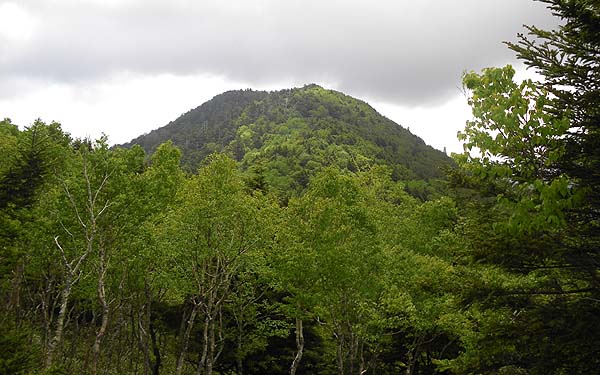 �R������̒���