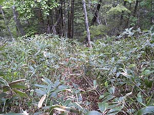 �����R�[�X